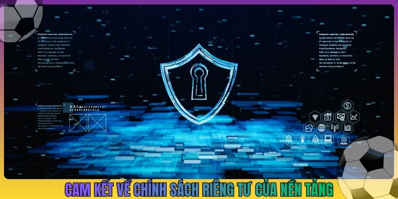 Cam kết về chính sách riêng tư của nền tảng