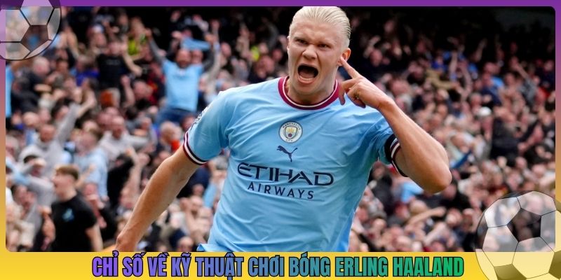 Chỉ số về kỹ thuật chơi bóng Erling Haaland