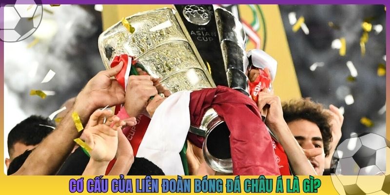 Cơ cấu của liên đoàn bóng đá châu Á là gì?