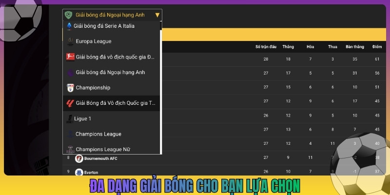 Đa dạng giải bóng cho bạn lựa chọn