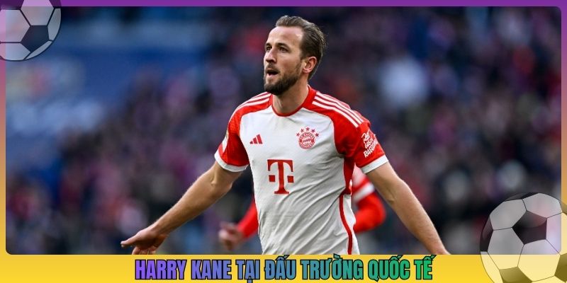 Harry Kane tại đấu trường quốc tế
